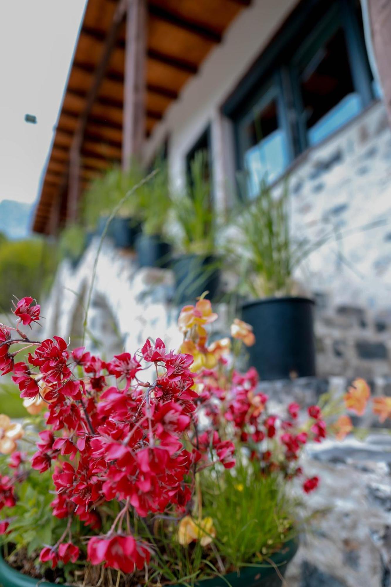 Hotel Thethi Exterior foto
